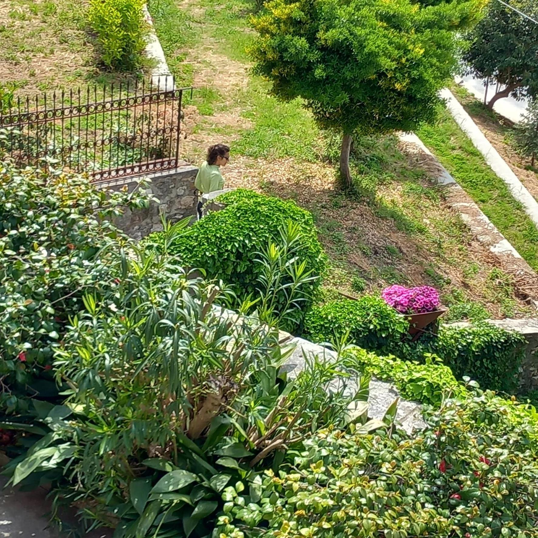 Milies Historic Chalet Pelion Miléai المظهر الخارجي الصورة