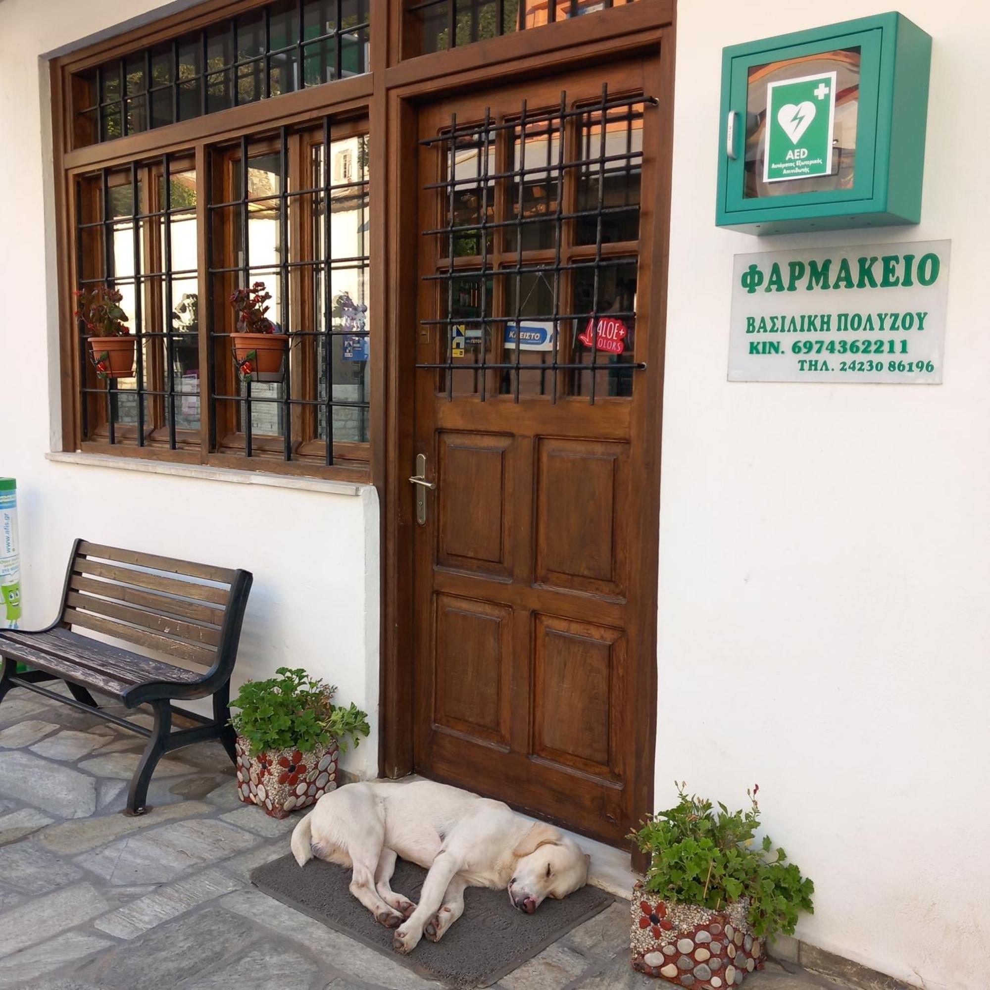 Milies Historic Chalet Pelion Miléai المظهر الخارجي الصورة