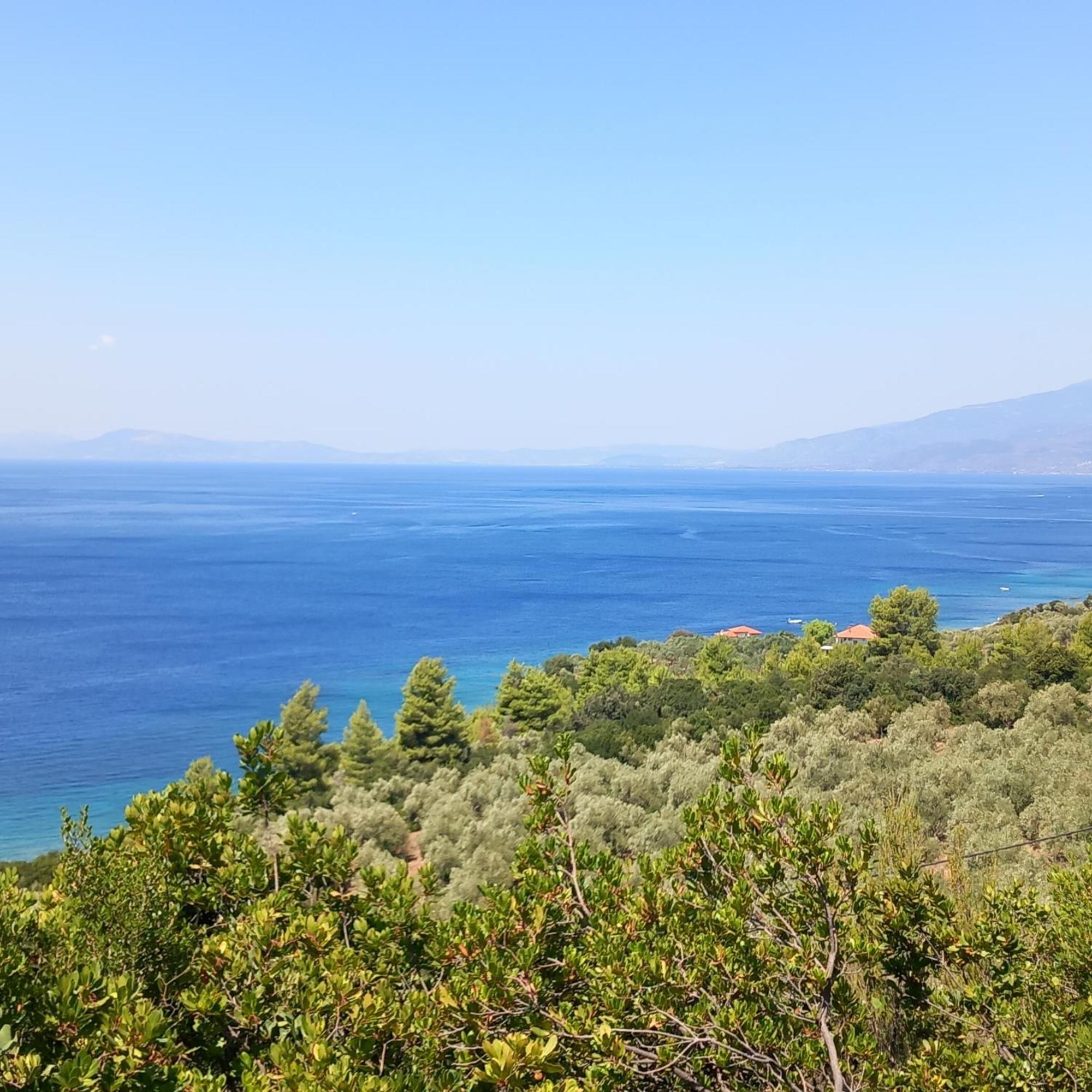 Milies Historic Chalet Pelion Miléai المظهر الخارجي الصورة
