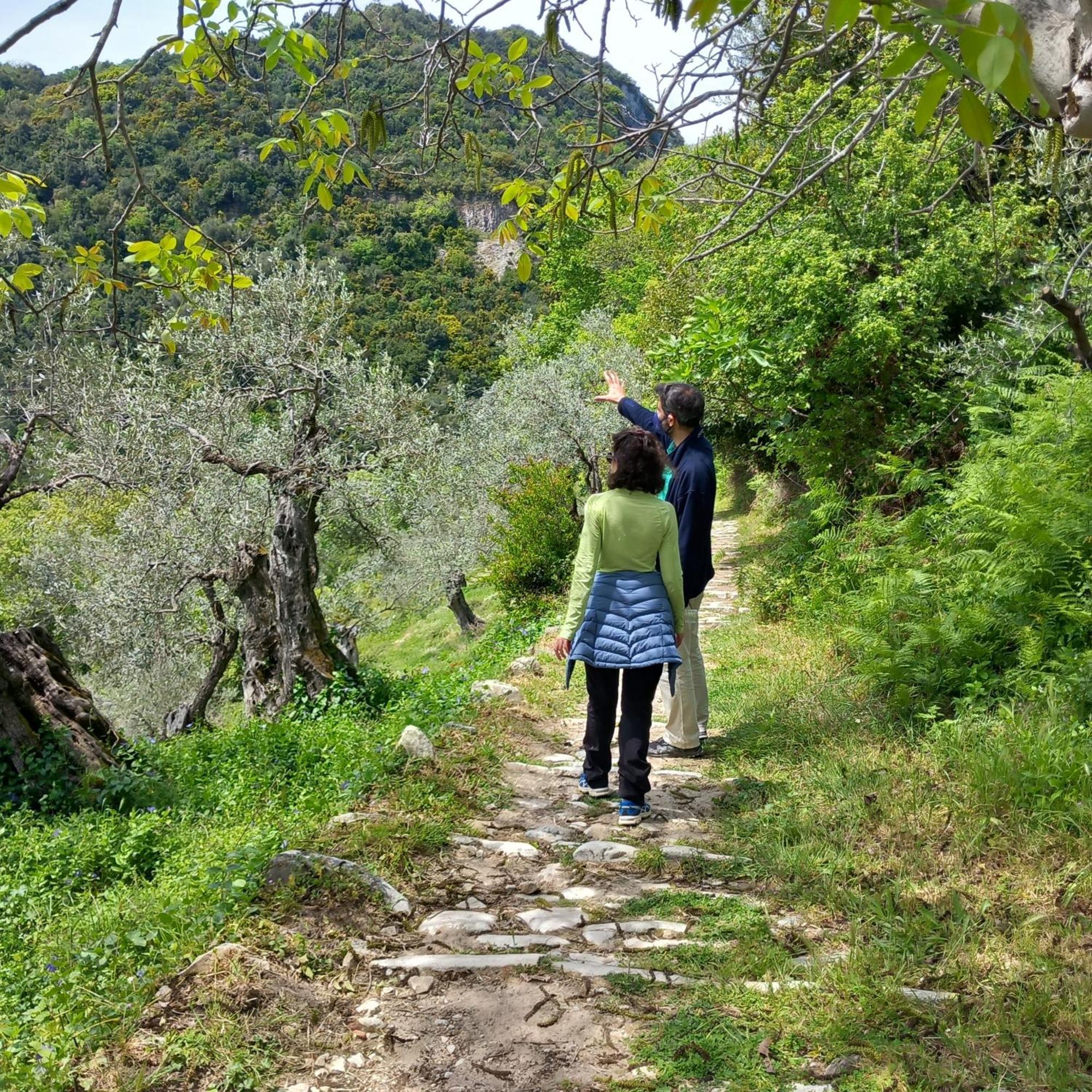 Milies Historic Chalet Pelion Miléai المظهر الخارجي الصورة