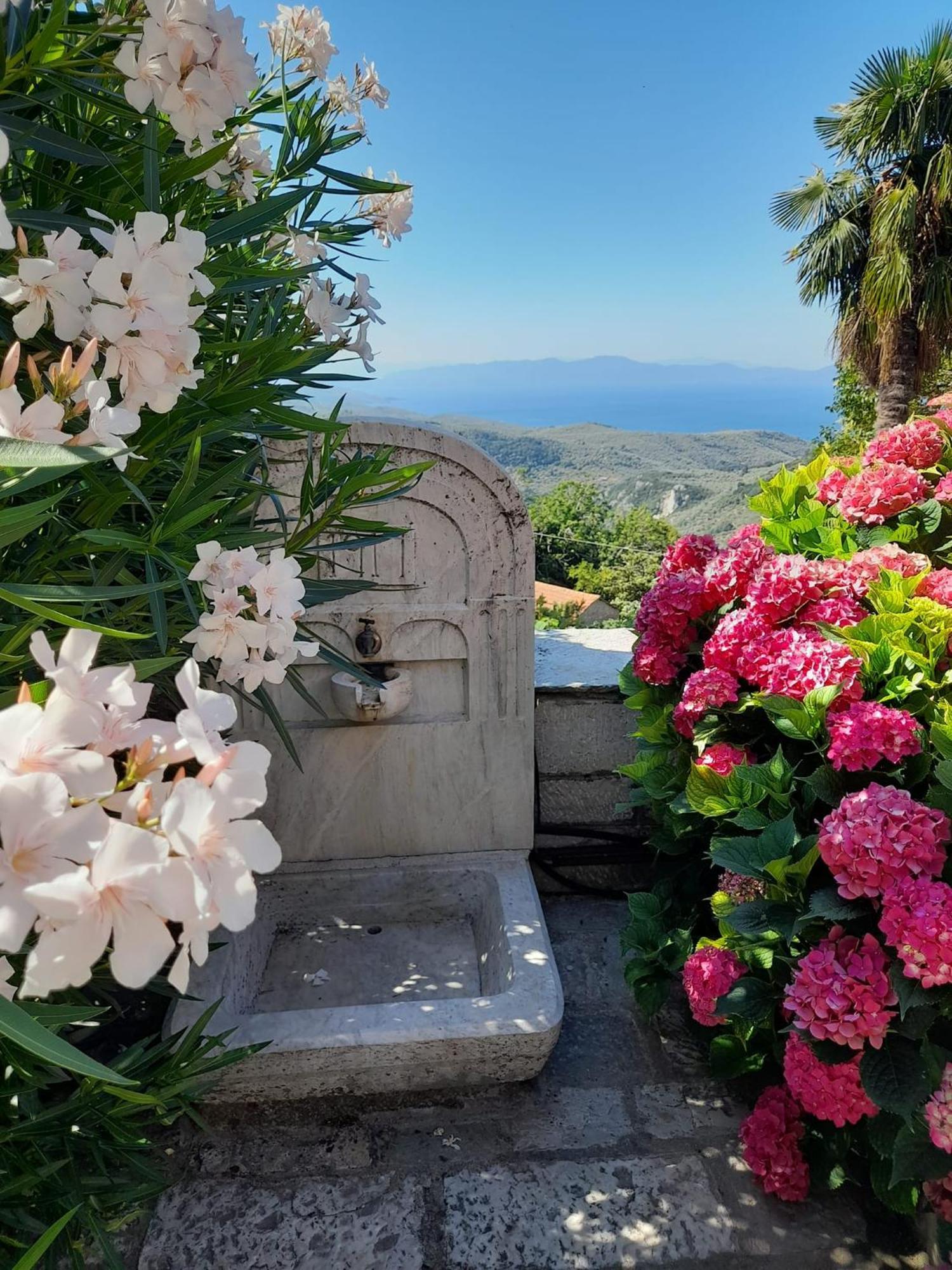 Milies Historic Chalet Pelion Miléai المظهر الخارجي الصورة